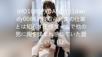 (HD1080P)(DANDY)(1dandy00861)寝取らせ夫の仕業とは知らず王様ゲームで他の男に胸を揉まれ感じていた愛しい妻 (1)