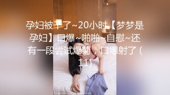 孕妇被干了~20小时【梦梦是孕妇】口爆~啪啪~自慰~还有一段尝试爆菊，口爆射了 (11)