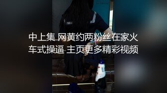 中上集 网黄约两粉丝在家火车式操逼 主页更多精彩视频