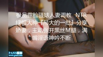 极品露脸骚婊人妻调教✅NTR绿帽大神『吊大的一批』分享娇妻，主动张开黑丝M腿，满嘴淫语呻吟不断