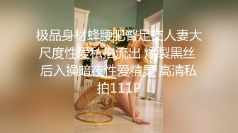 极品身材蜂腰肥臀足交人妻大尺度性爱私拍流出 爆裂黑丝 后入操暗夜性爱精灵 高清私拍111P