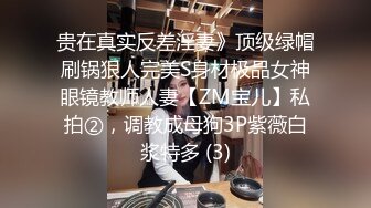 贵在真实反差淫妻》顶级绿帽刷锅狠人完美S身材极品女神眼镜教师人妻【ZM宝儿】私拍②，调教成母狗3P紫薇白浆特多 (3)