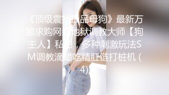 《顶级震撼极品母狗》最新万狼求购网红地狱调教大师【狗主人】私拍，多种刺激玩法SM调教滴蜡吃精肛链打桩机 (4)