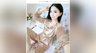 自慰的骚老婆2