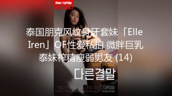 泰国朋克风纹身牙套妹「Elle Iren」OF性爱私拍 微胖巨乳泰妹榨精瘦弱男友 (14)