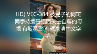 HD) VEC-384 被兒子的同班同學持續侵犯而失去自尊的母親 有坂深雪[有碼高清中文字幕]