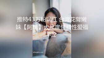 推特43万粉网红 台湾花臂嫩妹【阿璃】大尺度付费性爱福利2