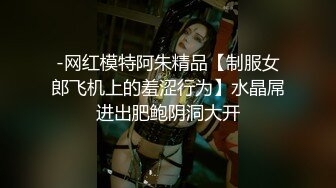 -网红模特阿朱精品【制服女郎飞机上的羞涩行为】水晶屌进出肥鲍阴洞大开