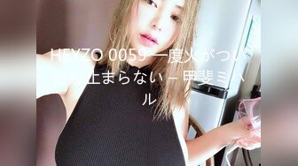 HEYZO 0059 一度火がついたら止まらない – 甲斐ミハル