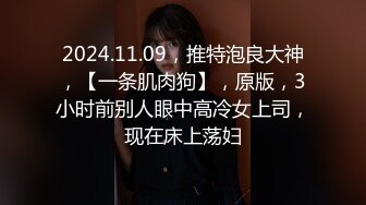 2024.11.09，推特泡良大神，【一条肌肉狗】，原版，3小时前别人眼中高冷女上司，现在床上荡妇