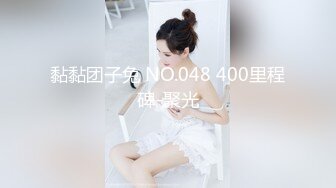 黏黏团子兔 NO.048 400里程碑-聚光