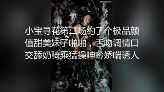 小宝寻花第二场约了个极品颜值甜美妹子啪啪，舌吻调情口交舔奶骑乘猛操呻吟娇喘诱人